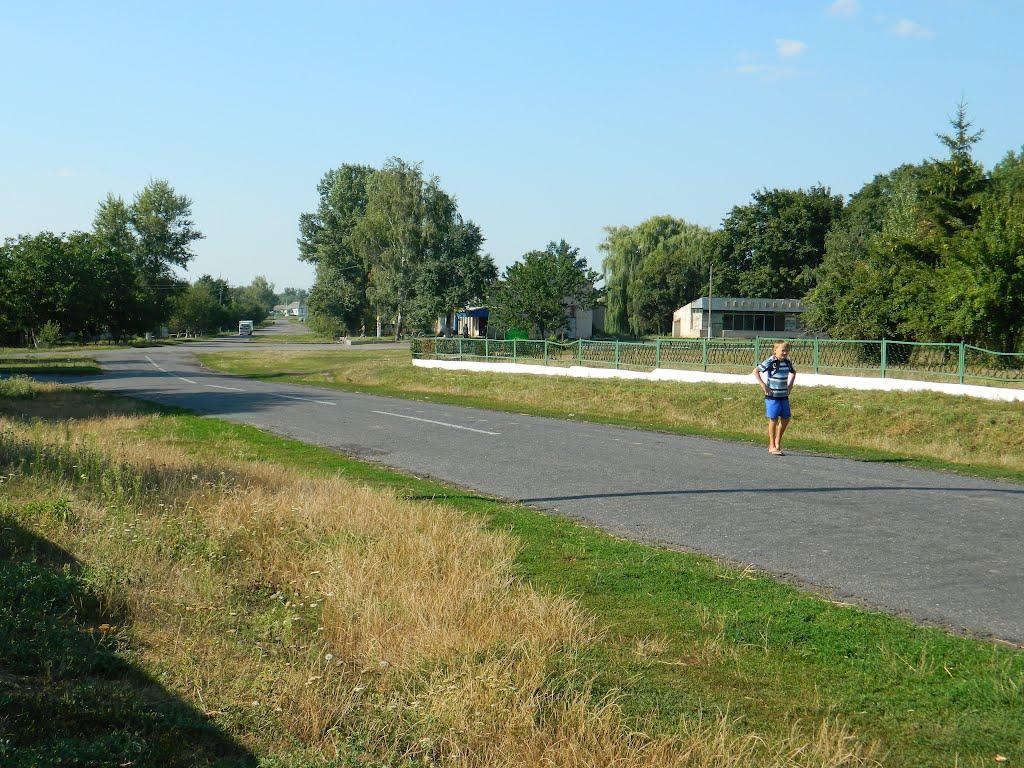 Степанівка з panoramio.com - Степановка