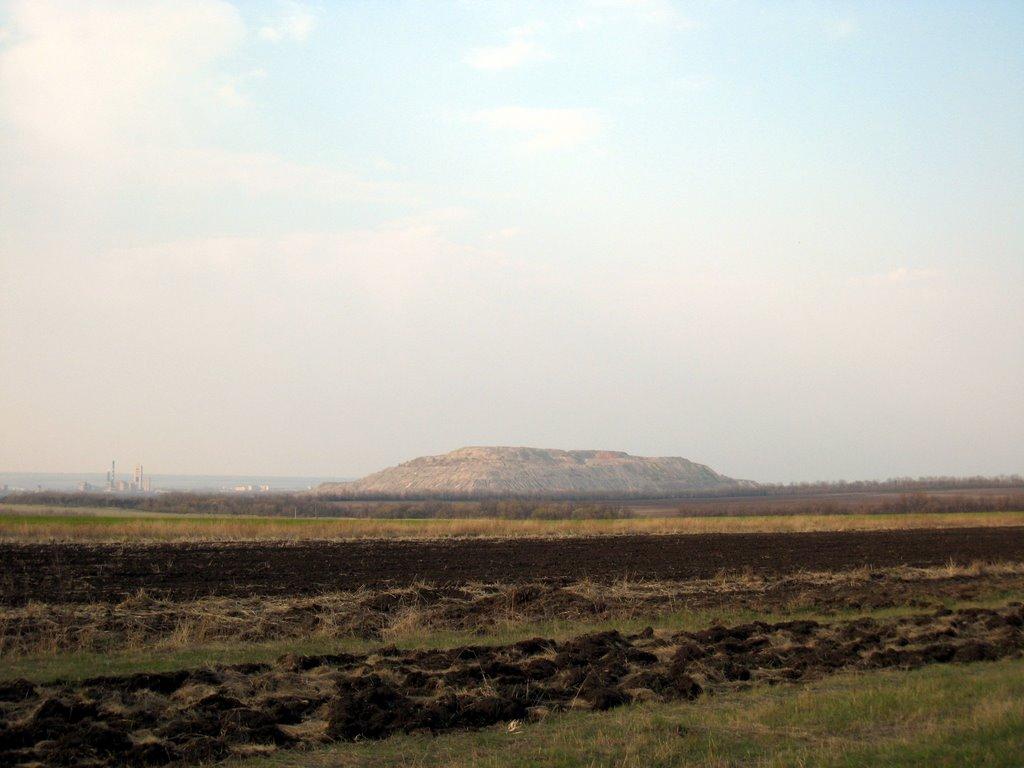 Весела Тарасівка з panoramio.com - Весела Тарасівка