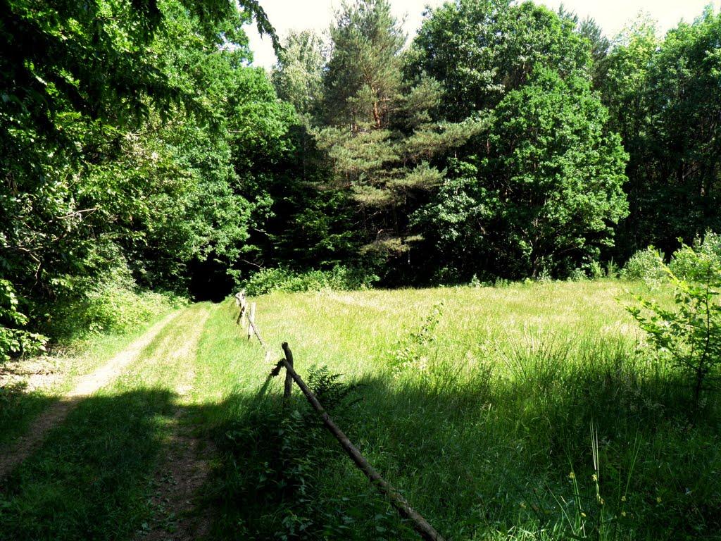 Маневичі з panoramio.com - Маневичи