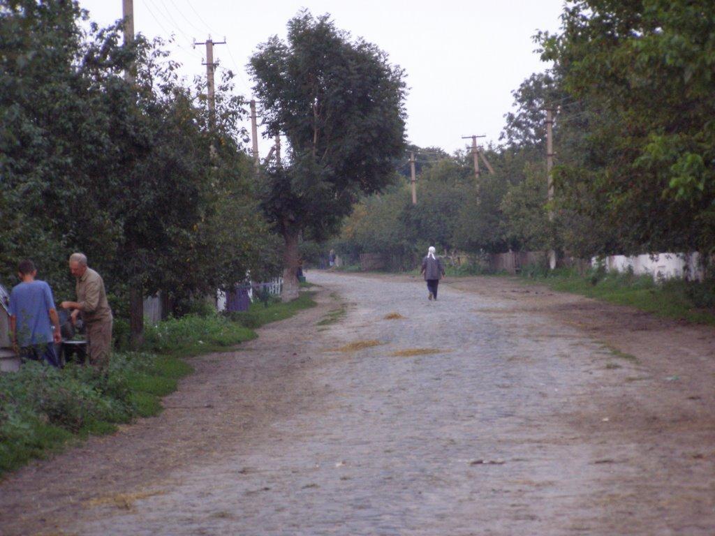 Хопнів з panoramio.com - Хопнів