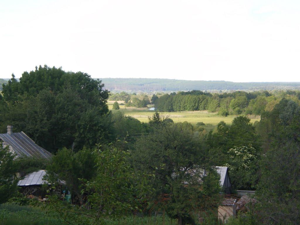 Доброславівка з panoramio.com - Доброславівка