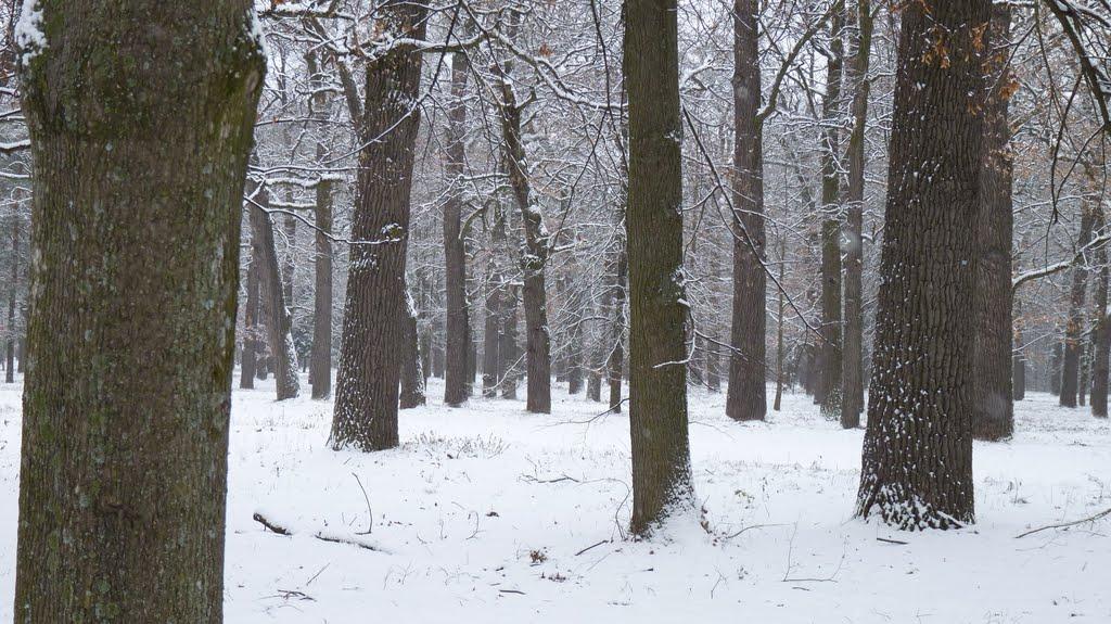 Глибочка з panoramio.com - Глибочка