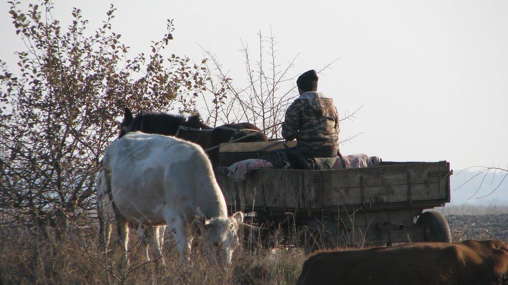 Мала Вулига з panoramio.com - Мала Вулига