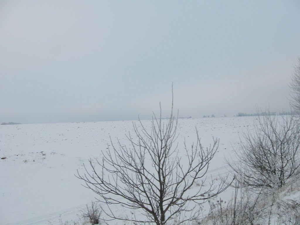 Криштопівка з panoramio.com - Криштопівка