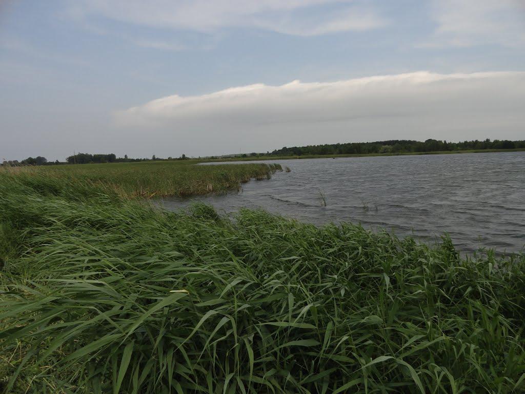 Новий Мосир з panoramio.com - Новий Мосир