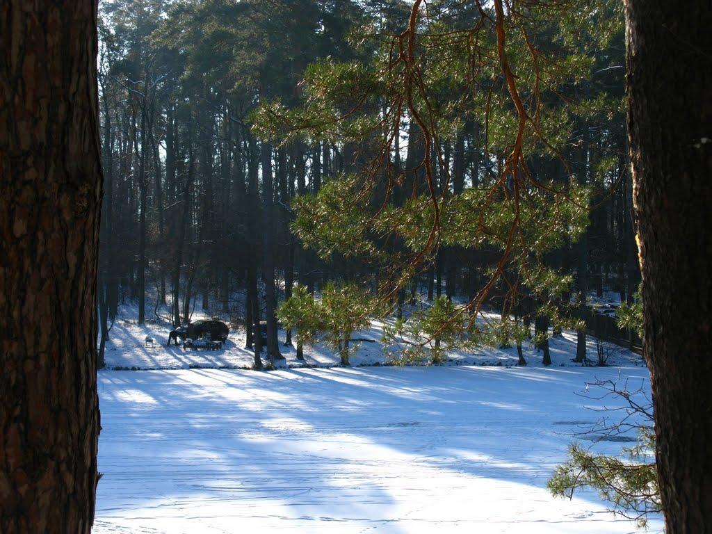 Горенка з panoramio.com - Горенка