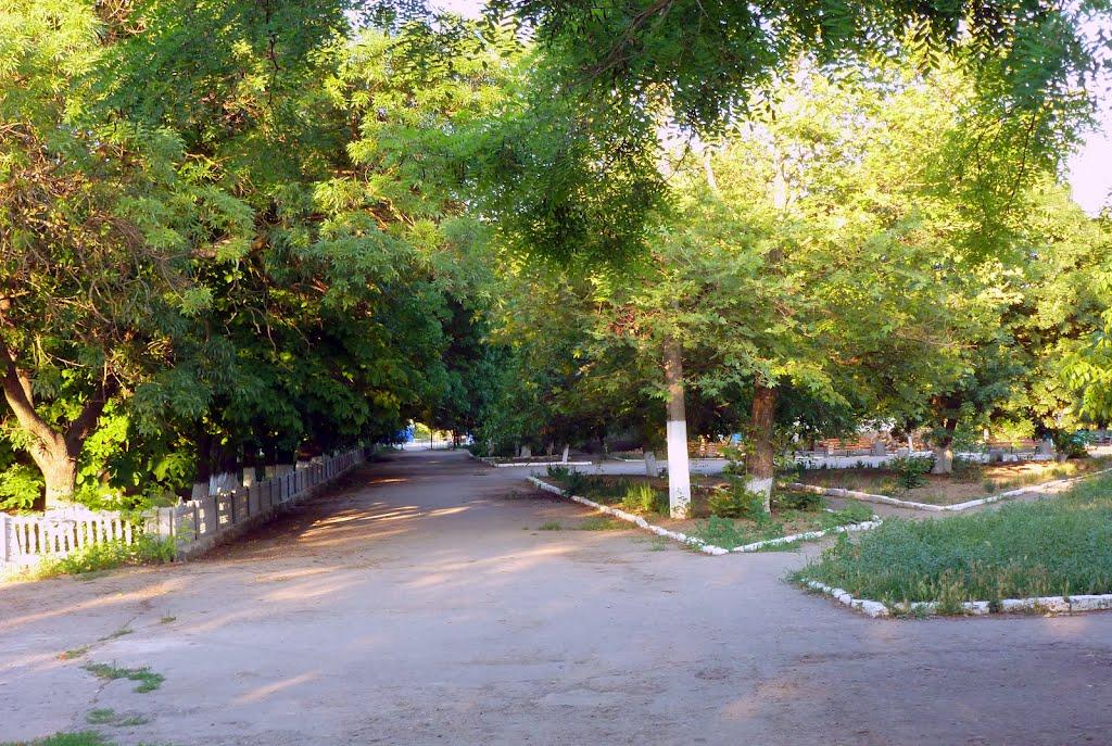 Першокостянтинівка з panoramio.com - Першокостянтинівка