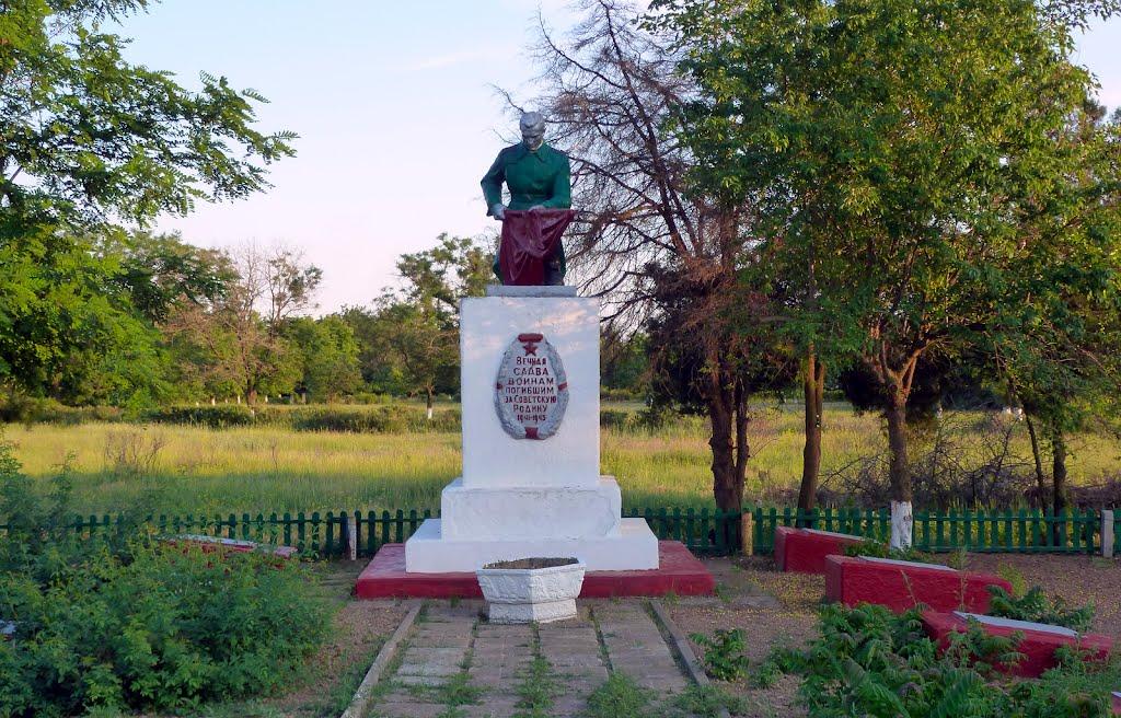 Першокостянтинівка з panoramio.com - Першокостянтинівка