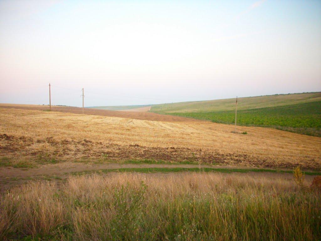 Роздільна з panoramio.com - Роздільна