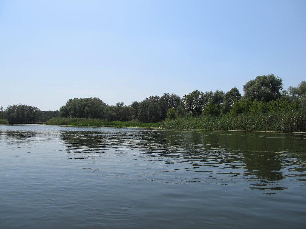 Щурове з panoramio.com - Щурово