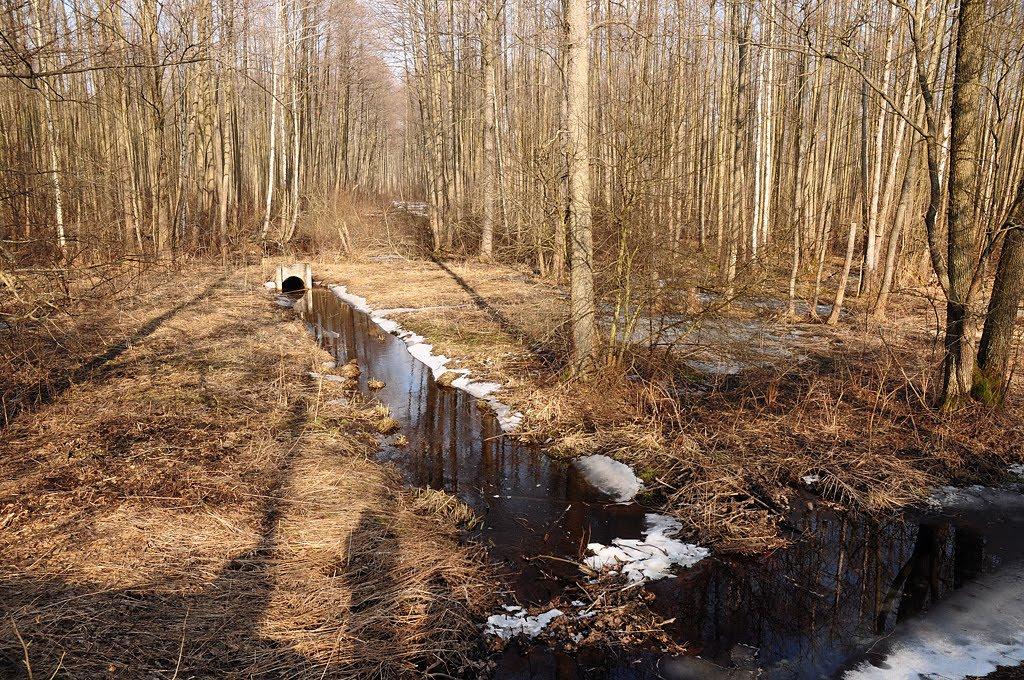 Забужжя з panoramio.com - Забужжя