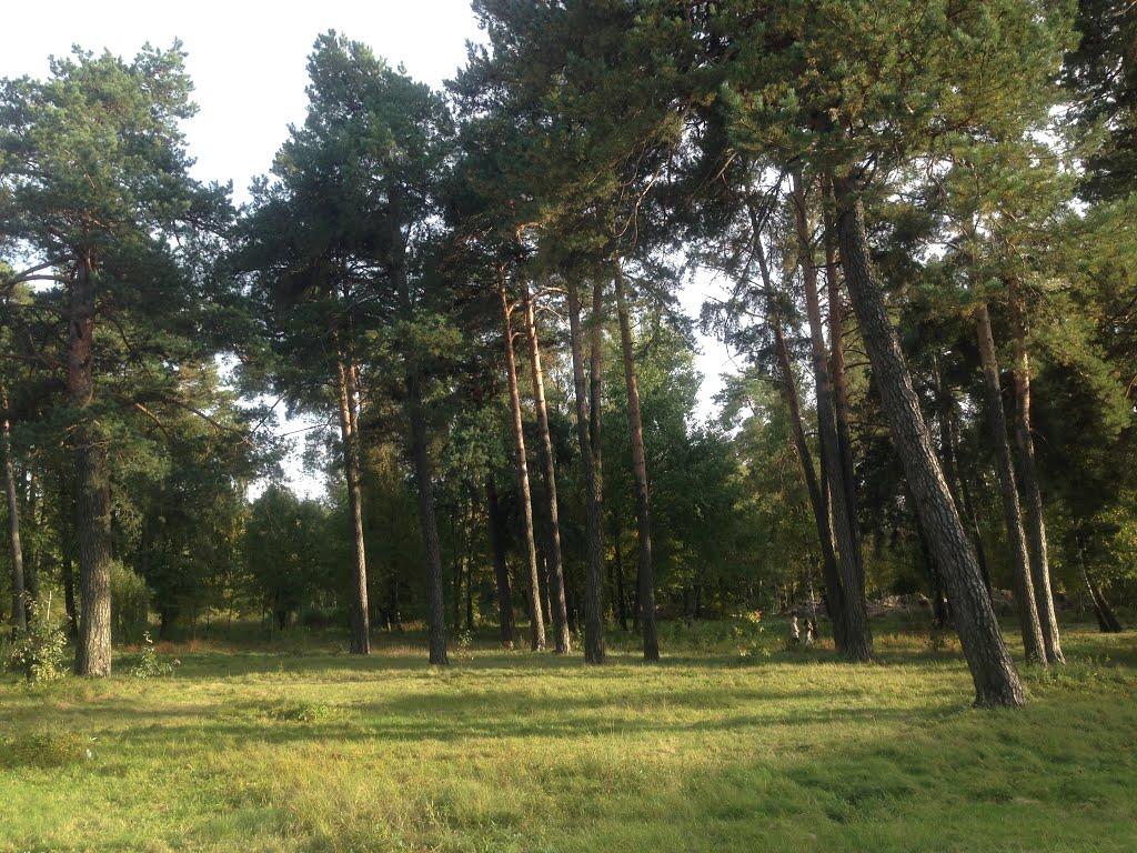 Шепетівка з panoramio.com (ч.2) - Шепетовка