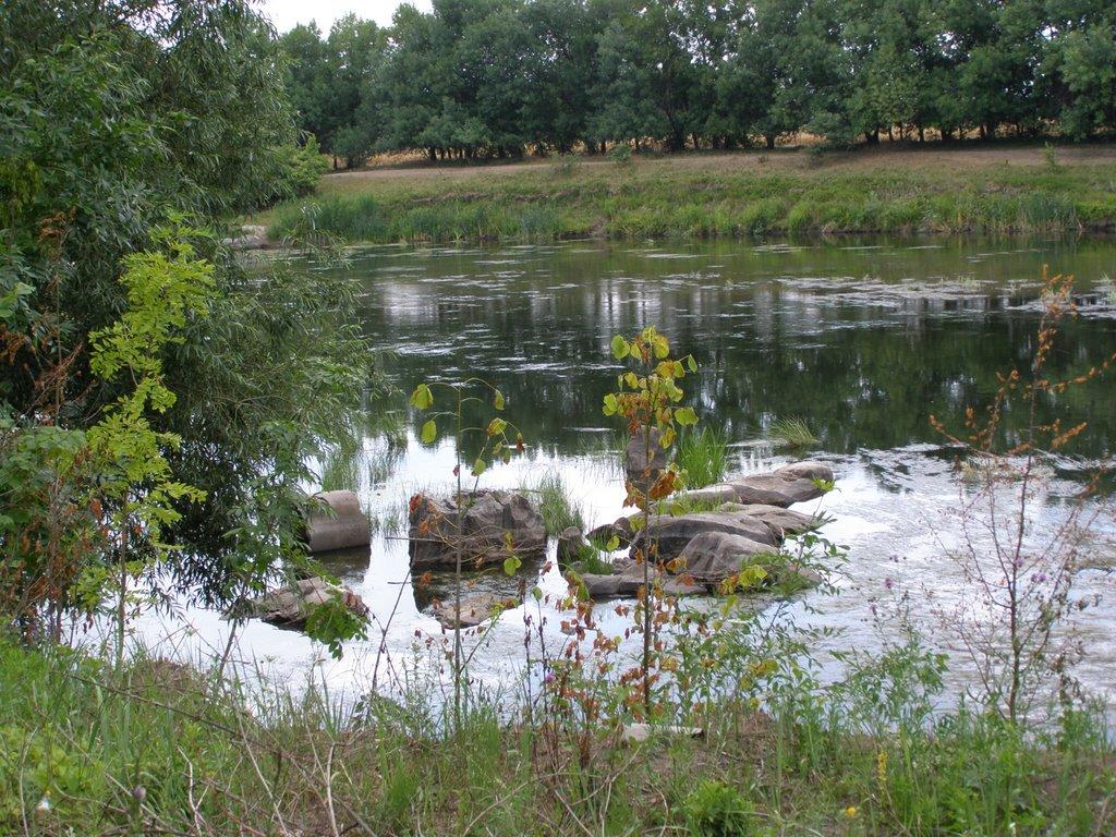 Осички з panoramio.com - Осички