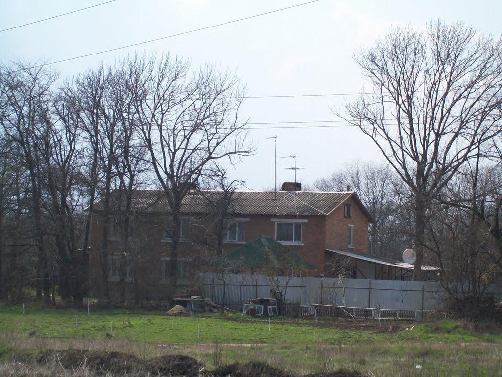 Іллічівка з panoramio.com - Іллічівка