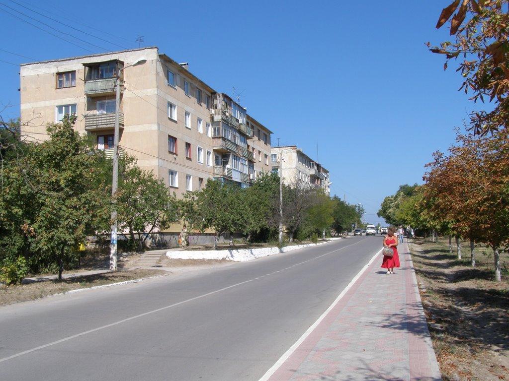 Новосільське з panoramio.com - Новосельское