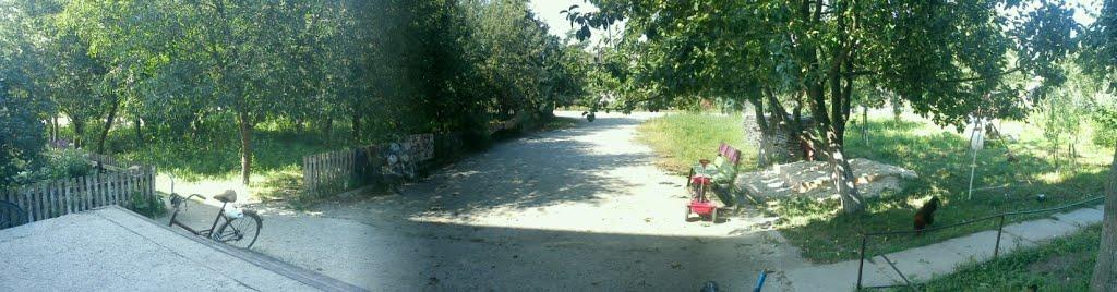 Гулянка з panoramio.com - Гулянка