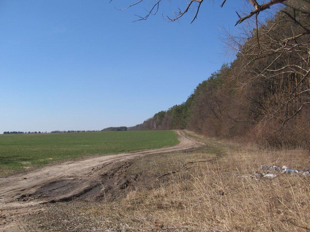 Товстоліс з panoramio.com - Товстоліс