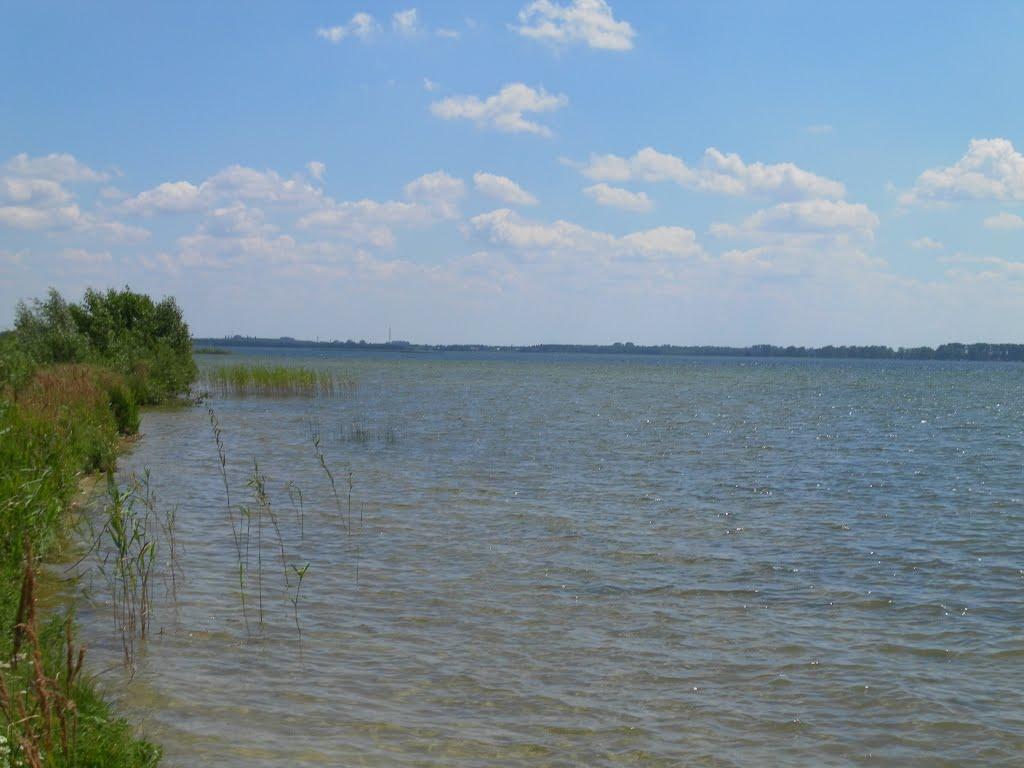 Світязь з panoramio.com - Свитязь