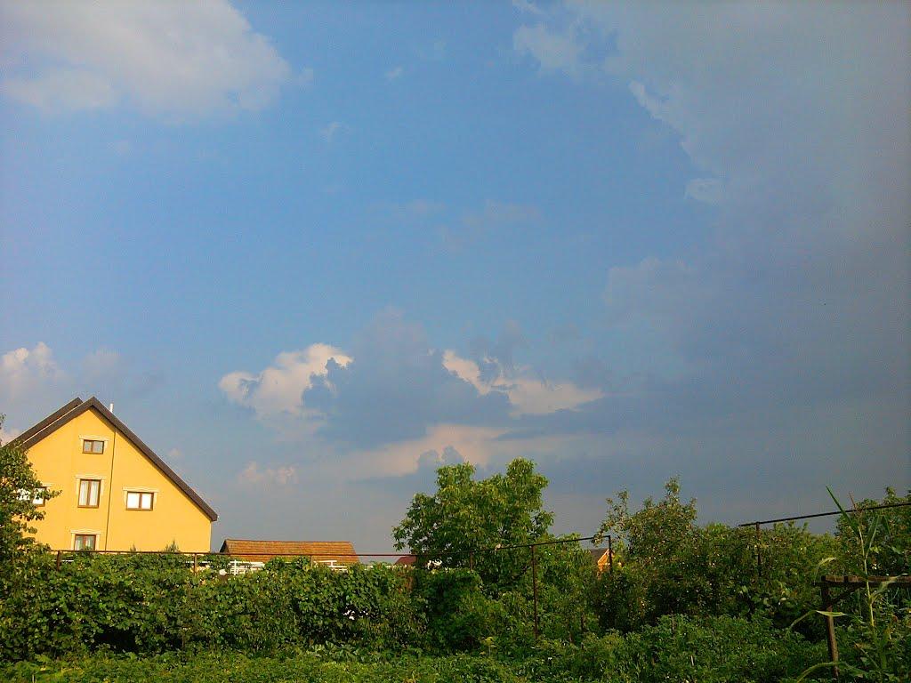 Олешник з panoramio.com - Олешник