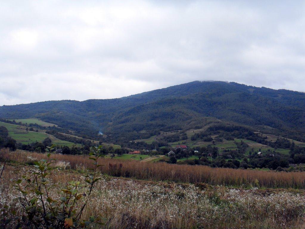 Вишка з panoramio.com - Вышка