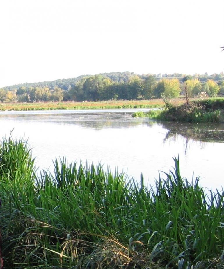 Могилівка з panoramio.com - Могилівка