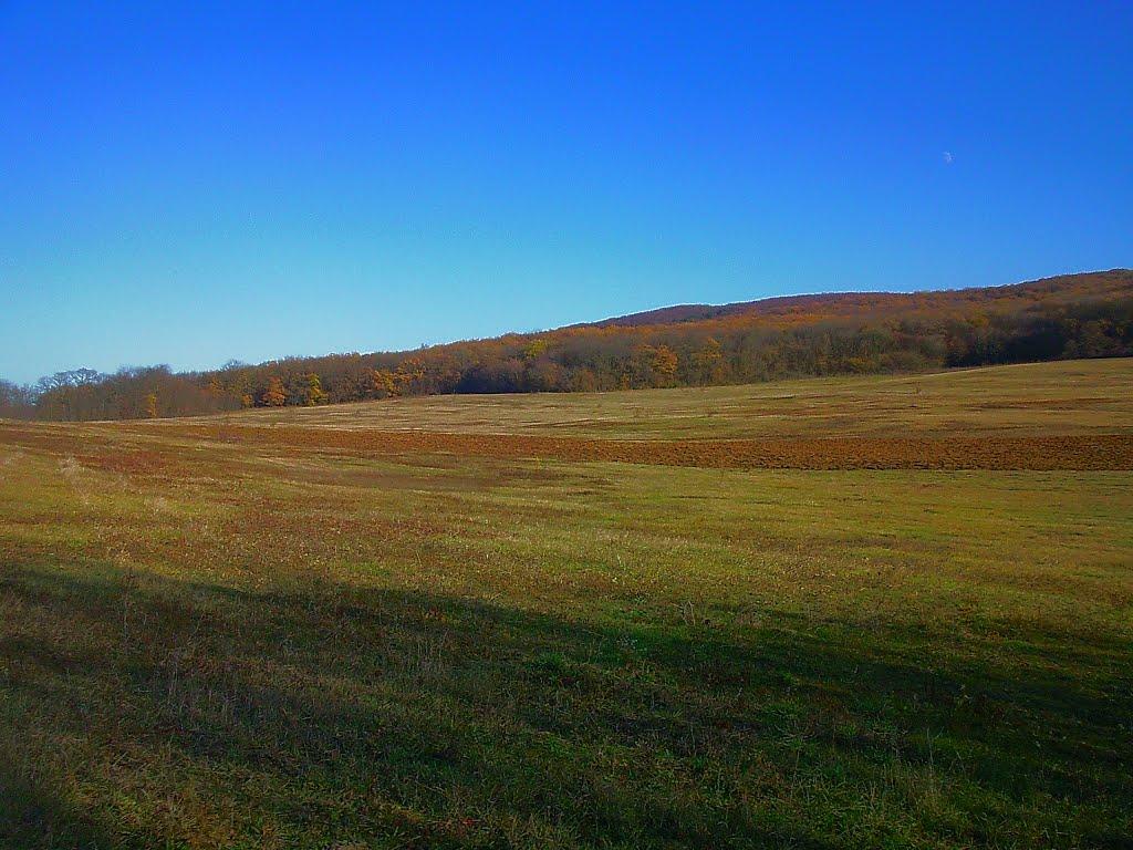 Високе з panoramio.com - Высокое