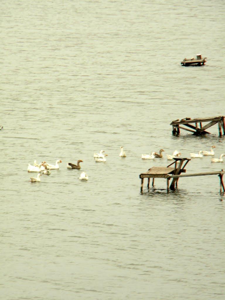 Снігурівка з panoramio.com - Снігурівка