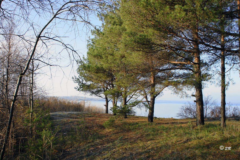 Домоткань з panoramio.com - Домоткань