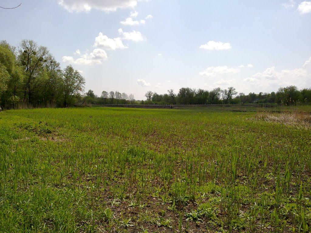 Рижанівка з panoramio.com - Рижанівка