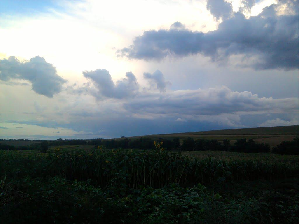 Березівка з panoramio.com - Березовка