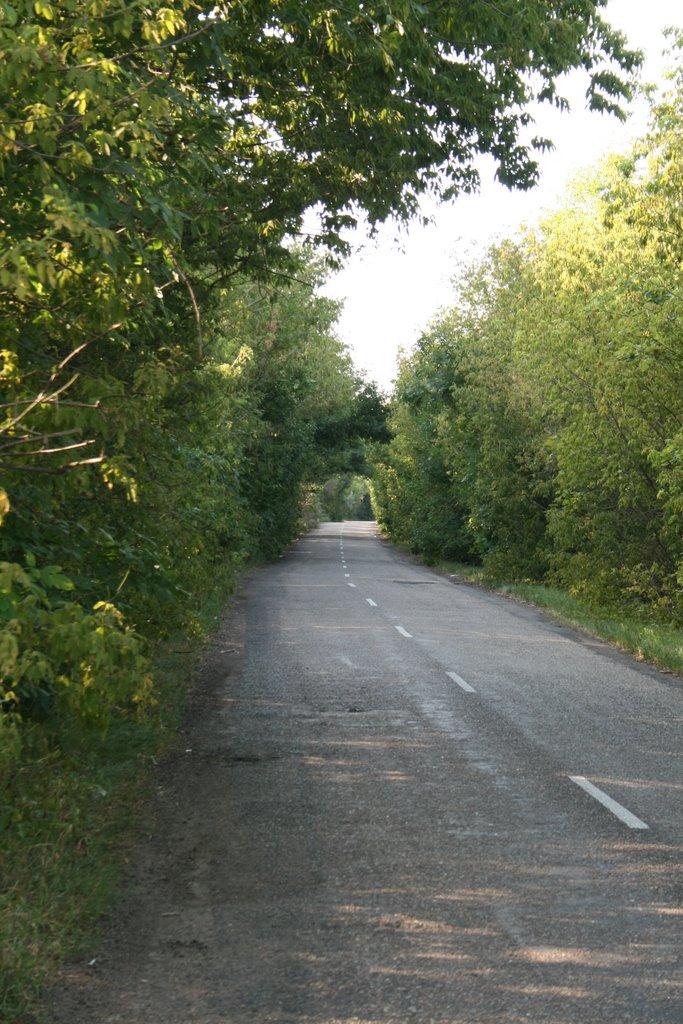 Кузьминівка з panoramio.com - Кузьминовка
