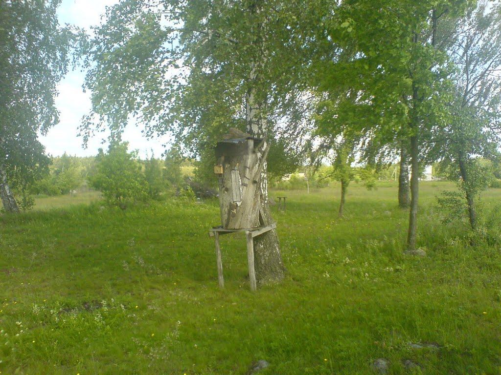 Вири з panoramio.com - Виры