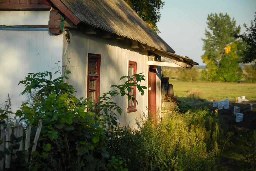 Катеринівка з panoramio.com - Катеринівка