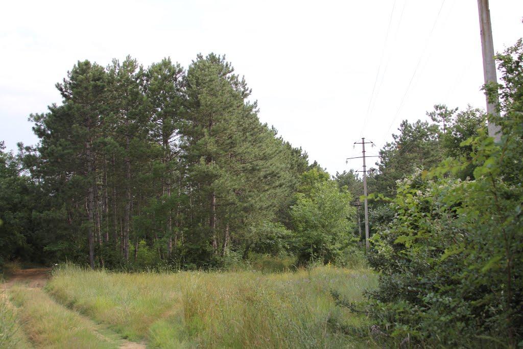 Верхоріччя з panoramio.com - Верхоречье