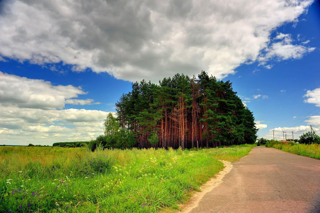 Сеньківка з panoramio.com - Сеньківка