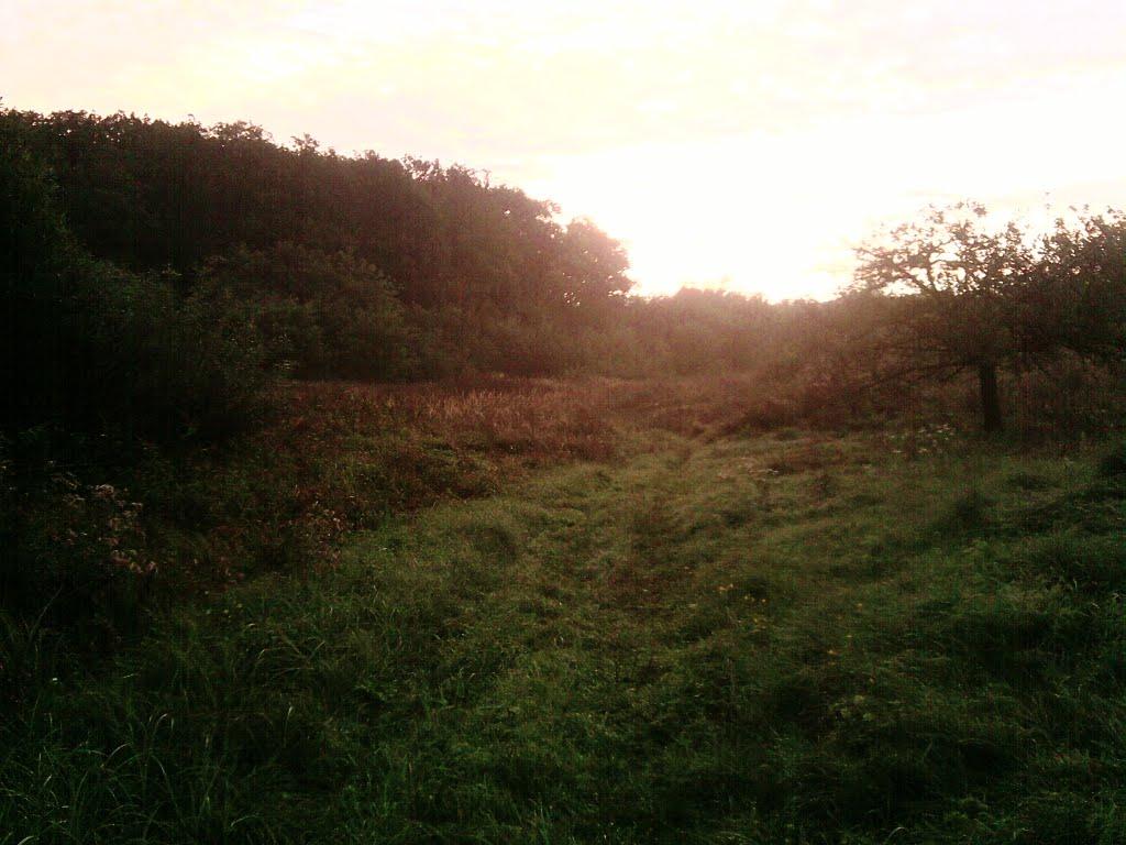 Ракошино з panoramio.com - Ракошино