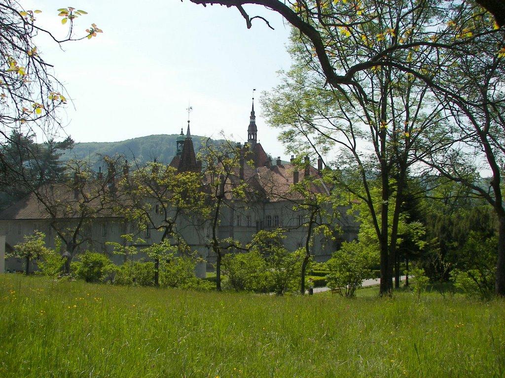 Карпати з panoramio.com - Карпаты