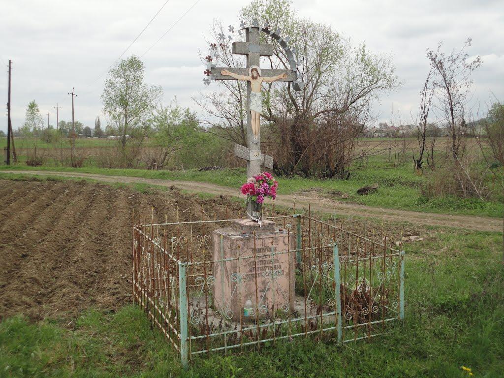 Дротинці з panoramio.com - Дротинці