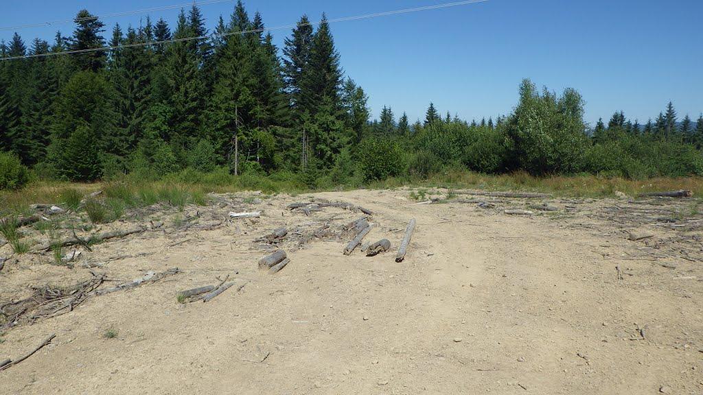 Вишків з panoramio.com - Vyshkiv