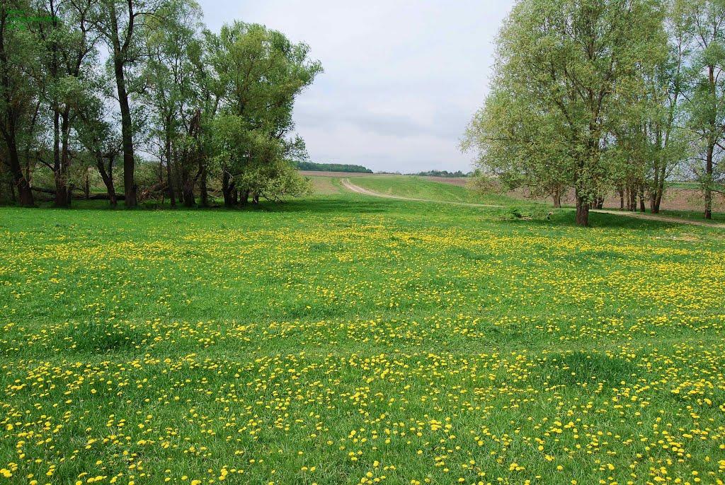 Батьки з panoramio.com - Батьки