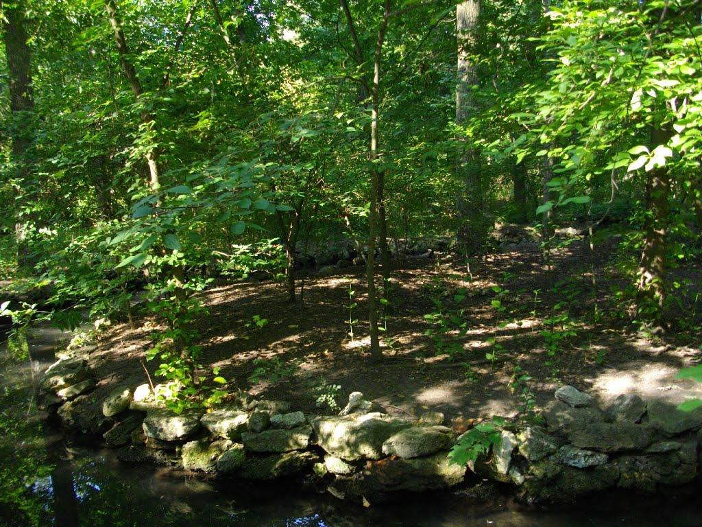 Асканія-Нова з panoramio.com - Аскания-Нова