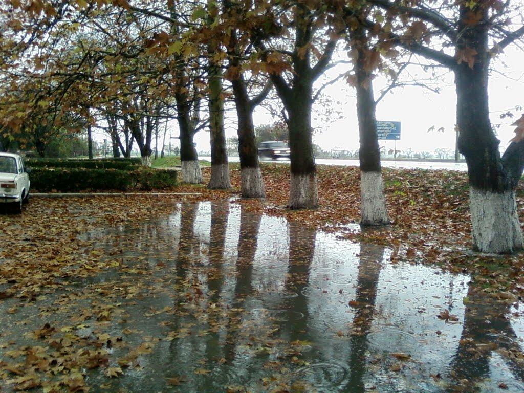 Роздольне з panoramio.com - Rozdolne