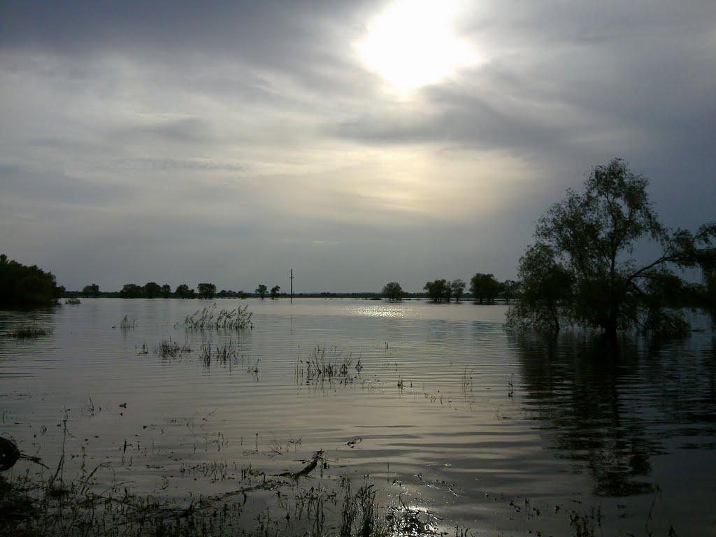 Вишеньки з panoramio.com - Вишенки