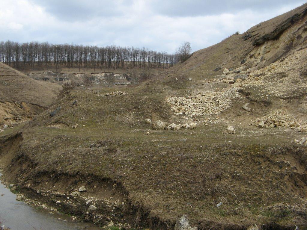 Шебутинці з panoramio.com - Шебутинцы