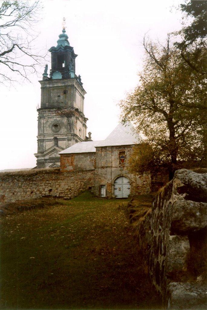 Світязь з panoramio.com - Свитязь