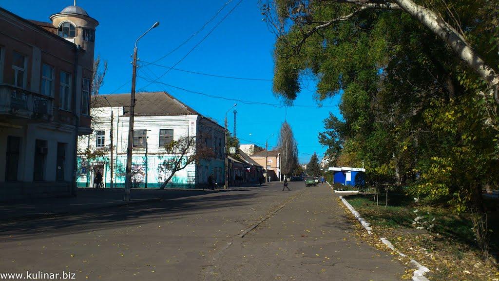 Токмак з panoramio.com - Токмак