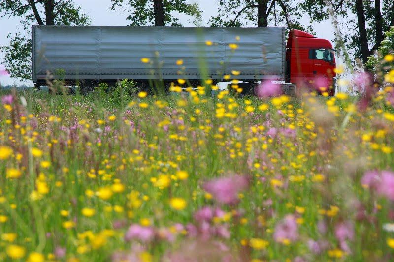 Кізлів з panoramio.com - Кізлів
