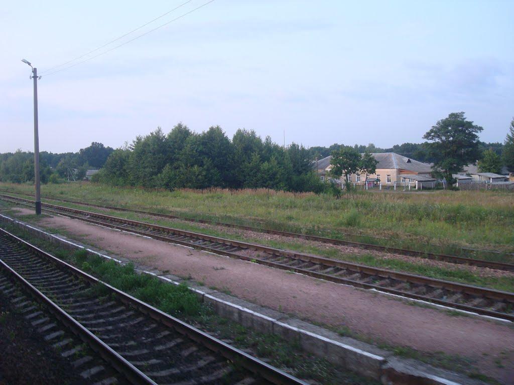 Першотравневе з panoramio.com - Першотравневе