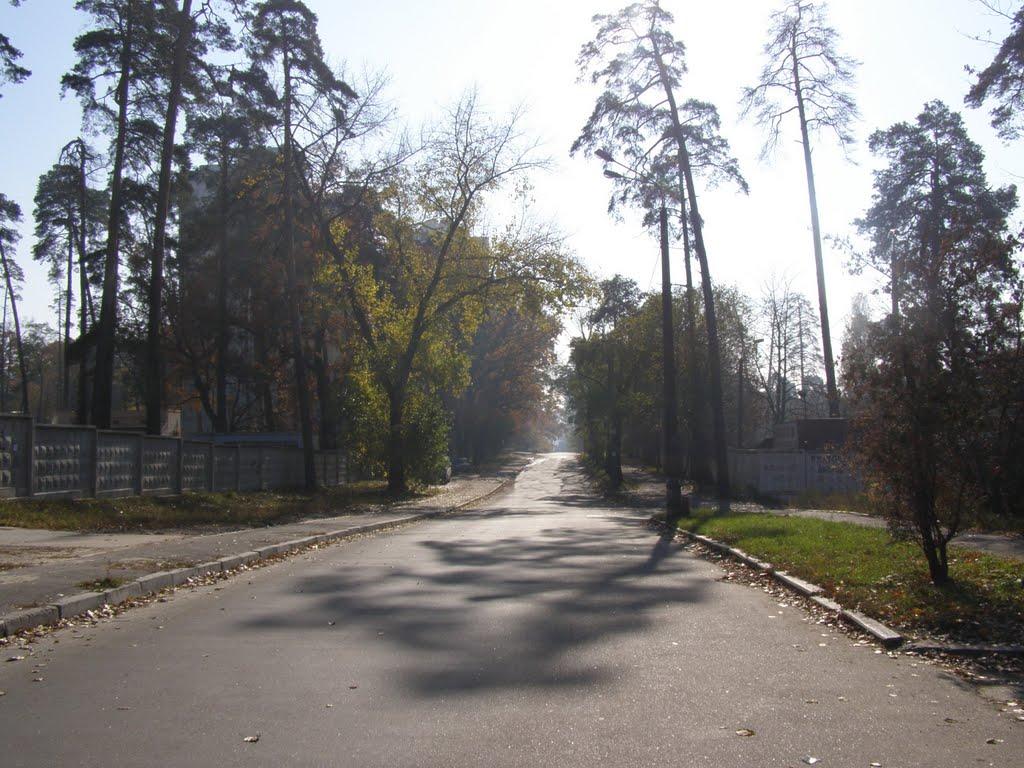 Петропавлівська Борщагівк з panoramio.com - Петропавловская Борщаговк