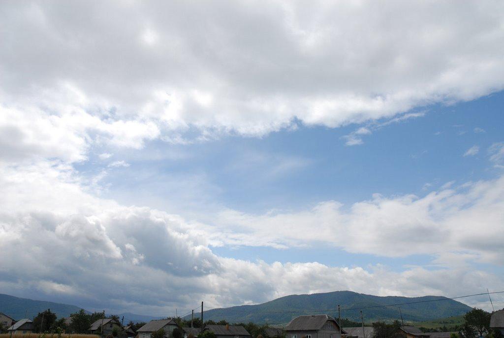 Шевченкове з panoramio.com - Шевченково